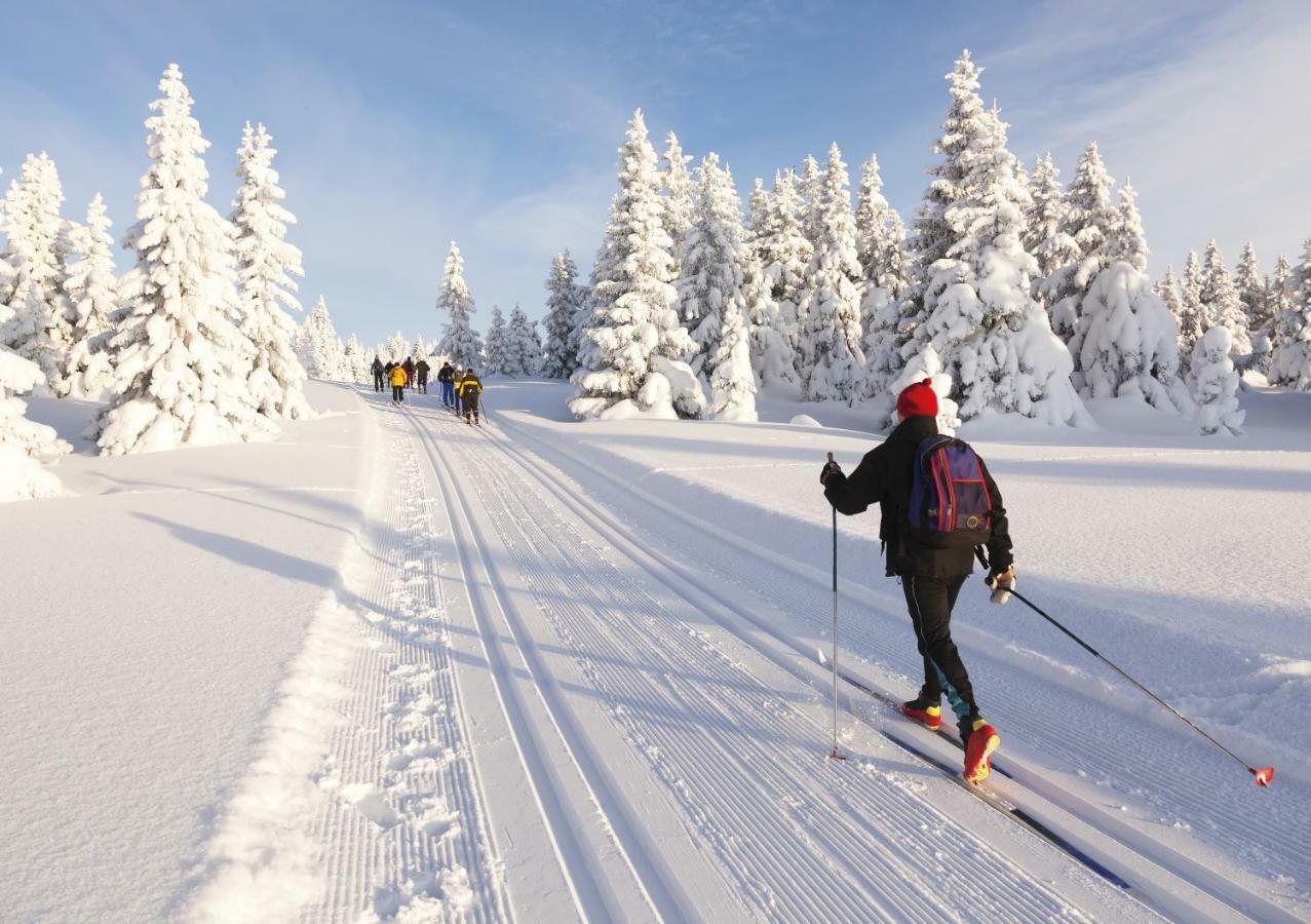 Jufa Hotel Eisenerzer Ramsau Bagian luar foto